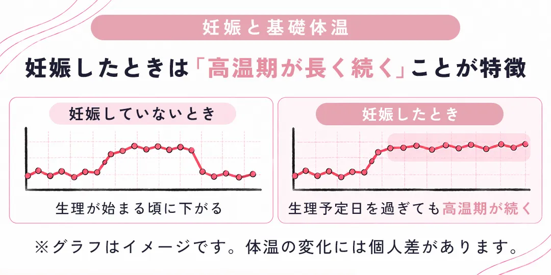 妊娠したときは「高温期が長く続く」ことが特徴