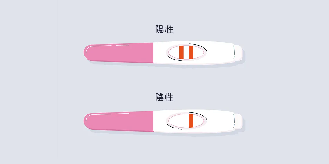 妊娠検査薬が陽性・陰性のイメージ画像