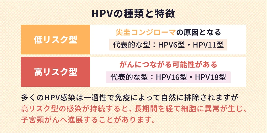 HPVの種類と特徴|ひよりレディースクリニック福岡博多