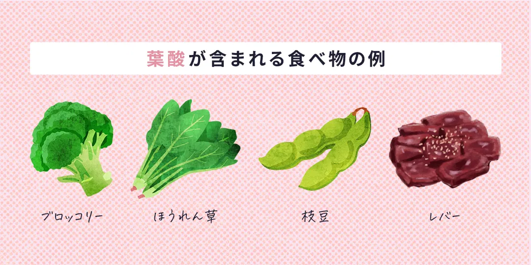 葉酸が含まれる食べ物の例