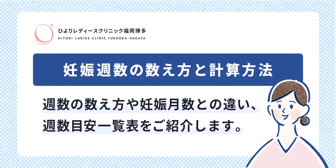 妊娠週数の数え方と計算方法のサムネイル画像